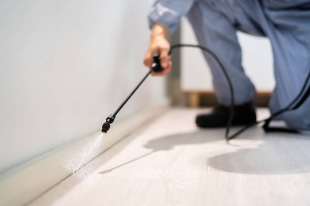 Licensed Cockroach Control service in Woodbury, TN - Nex Pest Control