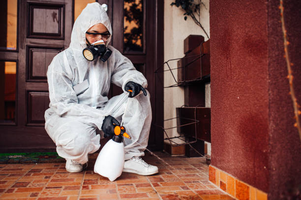 Reliable Cockroach Control contractor in Woodbury, TN by Nex Pest Control